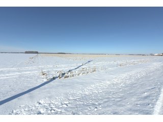 Property photo 53 - OHIO REAL ESTATE AUCTION - 202+/- ACRES IN 3 TRACTS IN VAN WERT COUNTY, OHIO